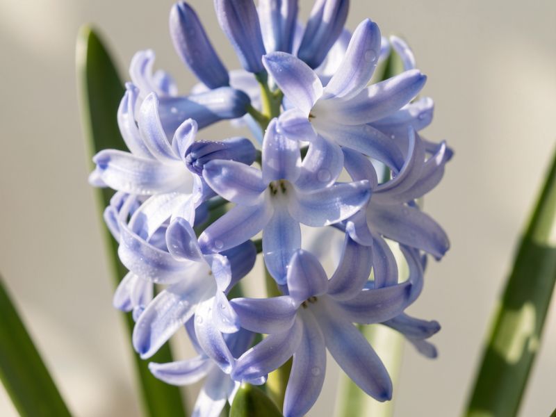 untitled design featured image